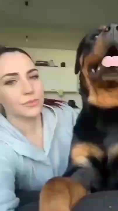 Hier ist der Spaßthread. Zum Schmunzeln und Kaputtlachen-Beitrag-Bild