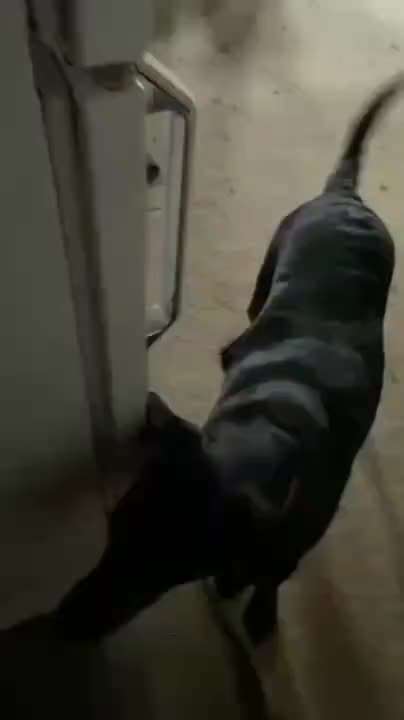 Hier ist der Spaßthread. Zum Schmunzeln und Kaputtlachen-Beitrag-Bild