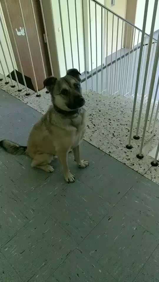 Hier ist der Spaßthread. Zum Schmunzeln und Kaputtlachen-Beitrag-Bild