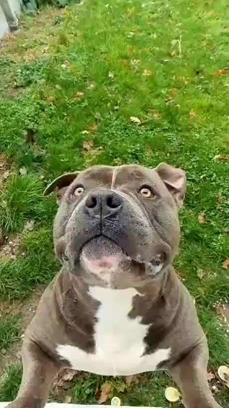 Hier ist der Spaßthread. Zum Schmunzeln und Kaputtlachen-Beitrag-Bild