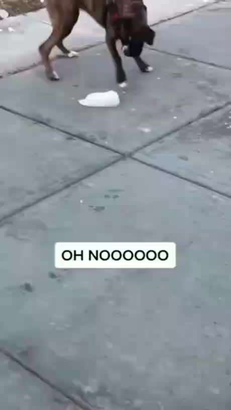 Hier ist der Spaßthread. Zum Schmunzeln und Kaputtlachen-Beitrag-Bild