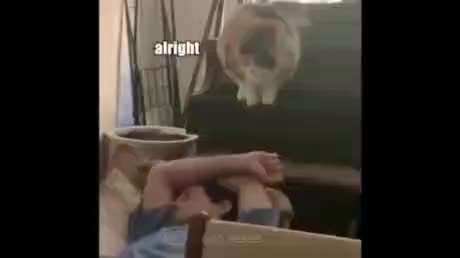 Hier ist der Spaßthread. Zum Schmunzeln und Kaputtlachen-Beitrag-Bild