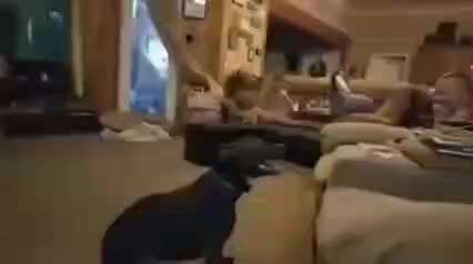 Hier ist der Spaßthread. Zum Schmunzeln und Kaputtlachen-Beitrag-Bild