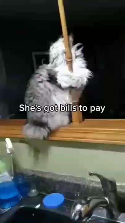 Hier ist der Spaßthread. Zum Schmunzeln und Kaputtlachen-Beitrag-Bild