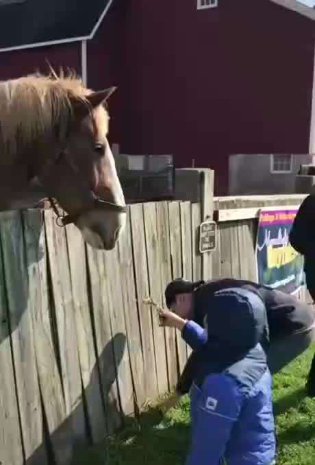 Hier ist der Spaßthread. Zum Schmunzeln und Kaputtlachen-Beitrag-Bild