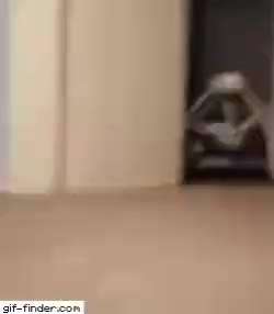 Hier ist der Spaßthread. Zum Schmunzeln und Kaputtlachen-Beitrag-Bild