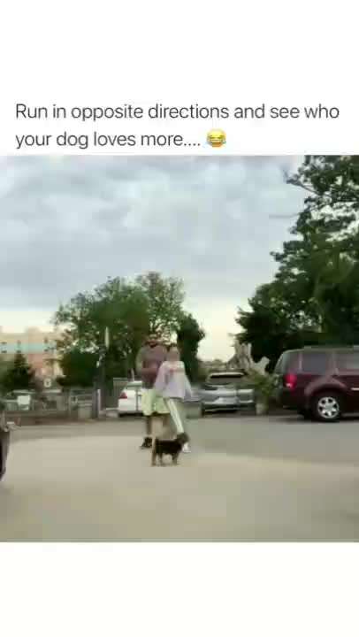 Hier ist der Spaßthread. Zum Schmunzeln und Kaputtlachen-Beitrag-Bild