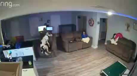 Hier ist der Spaßthread. Zum Schmunzeln und Kaputtlachen-Beitrag-Bild