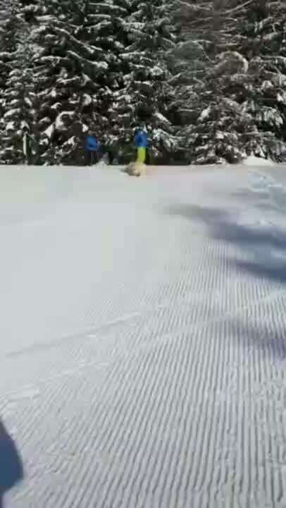 Hier ist der Spaßthread. Zum Schmunzeln und Kaputtlachen-Beitrag-Bild