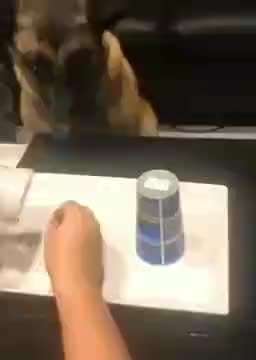 Hier ist der Spaßthread. Zum Schmunzeln und Kaputtlachen-Beitrag-Bild