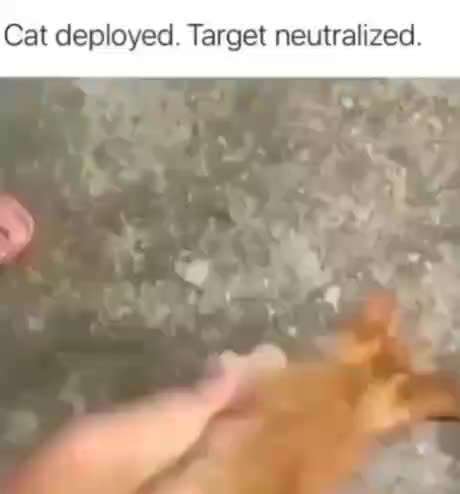 Hier ist der Spaßthread. Zum Schmunzeln und Kaputtlachen-Beitrag-Bild