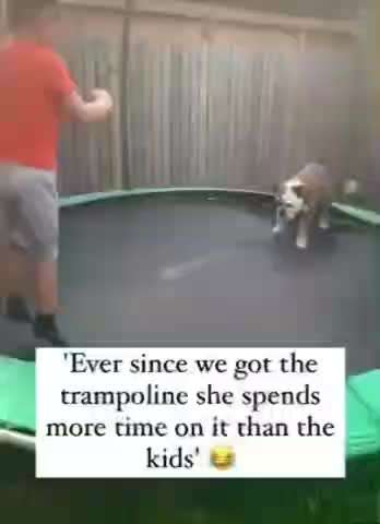 Hier ist der Spaßthread. Zum Schmunzeln und Kaputtlachen-Beitrag-Bild