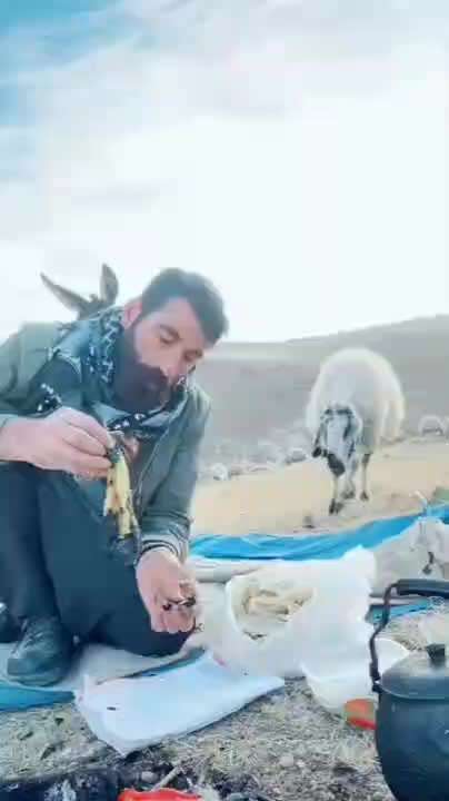 Hier ist der Spaßthread. Zum Schmunzeln und Kaputtlachen-Beitrag-Bild