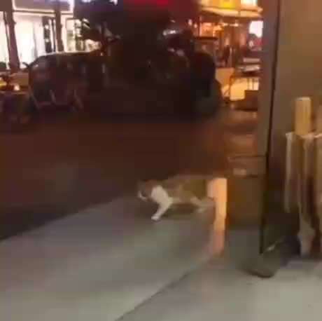 Hier ist der Spaßthread. Zum Schmunzeln und Kaputtlachen-Beitrag-Bild