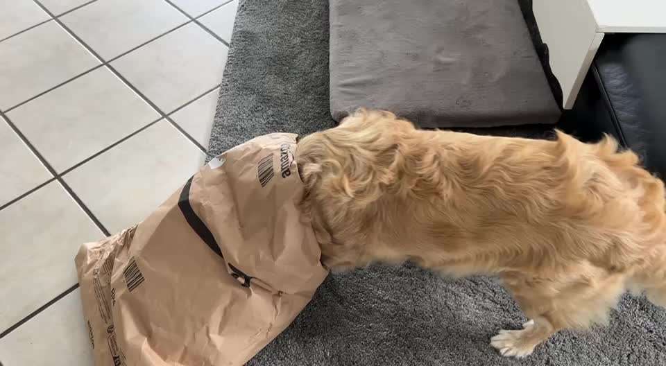 28. Farben Foto Challenge * BEIGE *-Beitrag-Bild