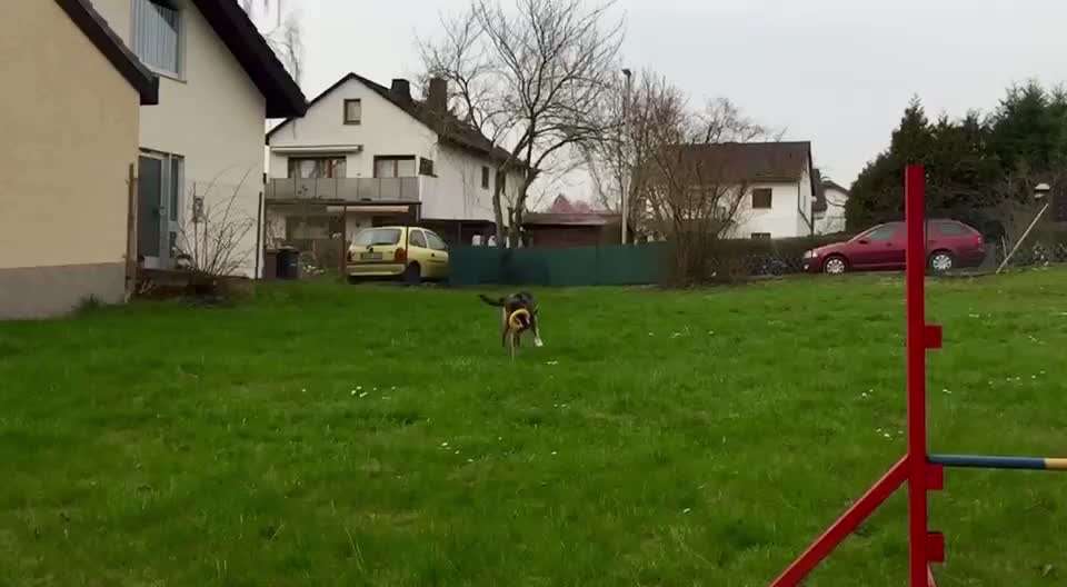 42. Handy Video Challenge-Beitrag-Bild