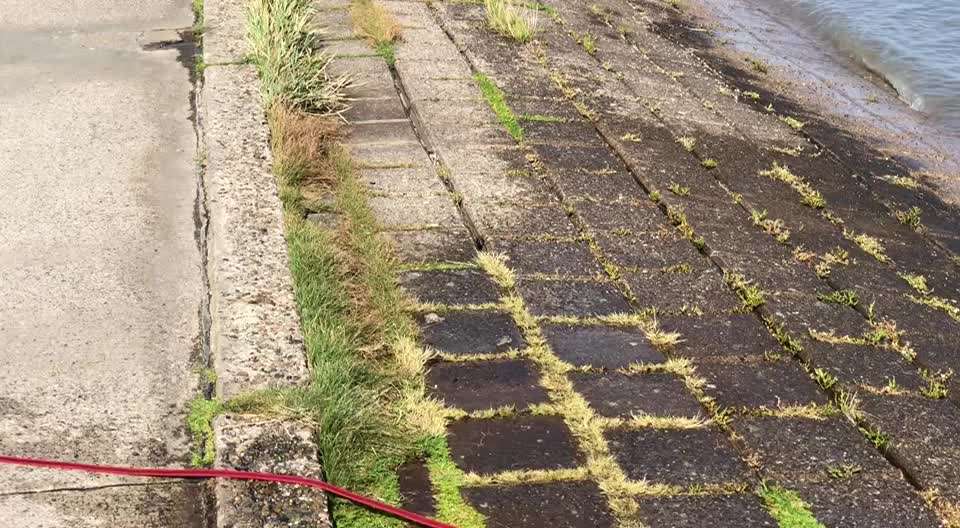 Eure schönsten Urlaubsfotos mit euren Lieblingen auf vier Pfoten-Beitrag-Bild