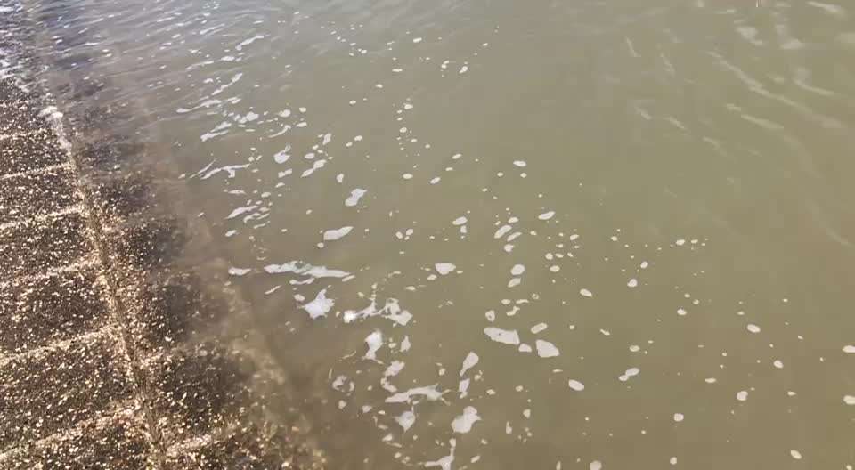 15. Video Challenge.  In SloMo die Welt erkunden!-Beitrag-Bild