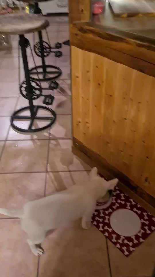 Hier ist der Spaßthread. Zum Schmunzeln und Kaputtlachen-Beitrag-Bild