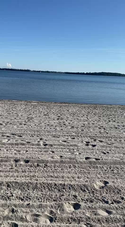 Video Challenge Nr.6
Auf den Spuren der Freiheit🐾🐾-Beitrag-Bild