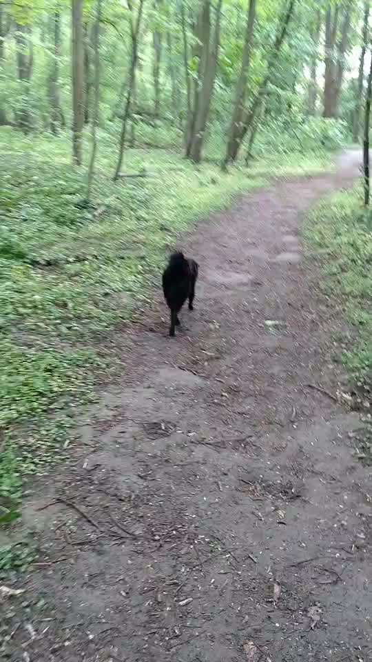 HANDY VIDEO CHALLENGE NR. 30: RÜCKRUF-Beitrag-Bild