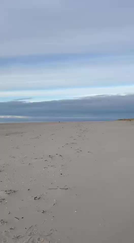 Was hat euch heute genervt?-Beitrag-Bild