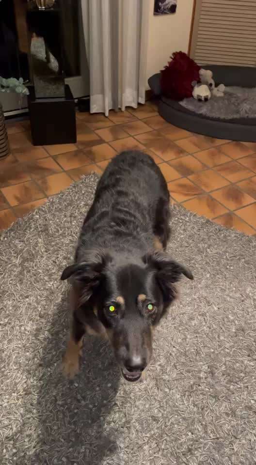 Koffer Packen: Spezial Weihnachtsedition-Beitrag-Bild