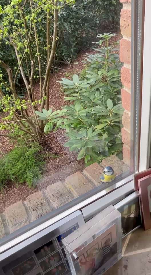 Rasenroboter-Beitrag-Bild