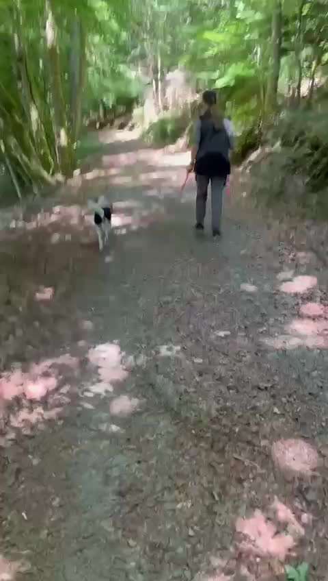 Was hat euch heute genervt?-Beitrag-Bild