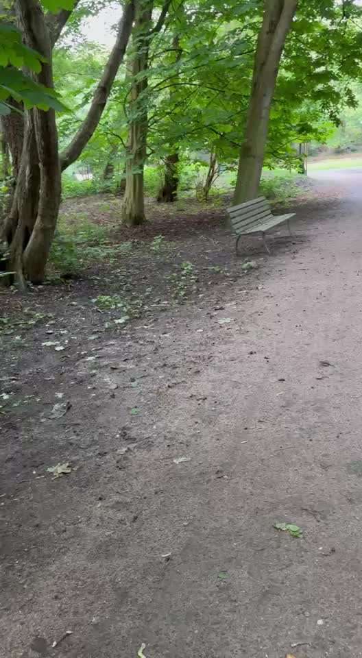 54. Impulskontrollchallenge  PAUSE MACHEN !-Beitrag-Bild