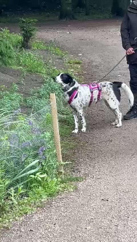 Was hat euch heute gefreut?-Beitrag-Bild