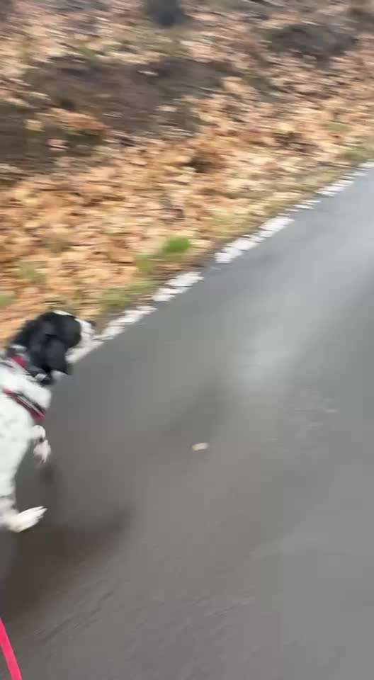 Geschirr anziehen-Beitrag-Bild