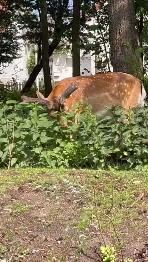 Was hat euch heute gefreut?-Beitrag-Bild