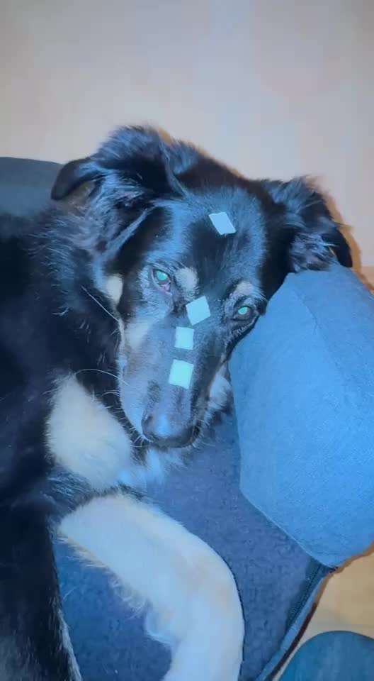 44. Impulskontrolle Callenge: ,,Essen ins Gesicht legen"-Beitrag-Bild