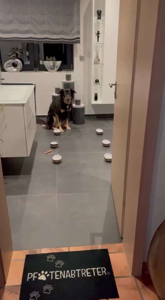 Impulskontrolle Challenge Nr. 21: Minenfeld-Beitrag-Bild