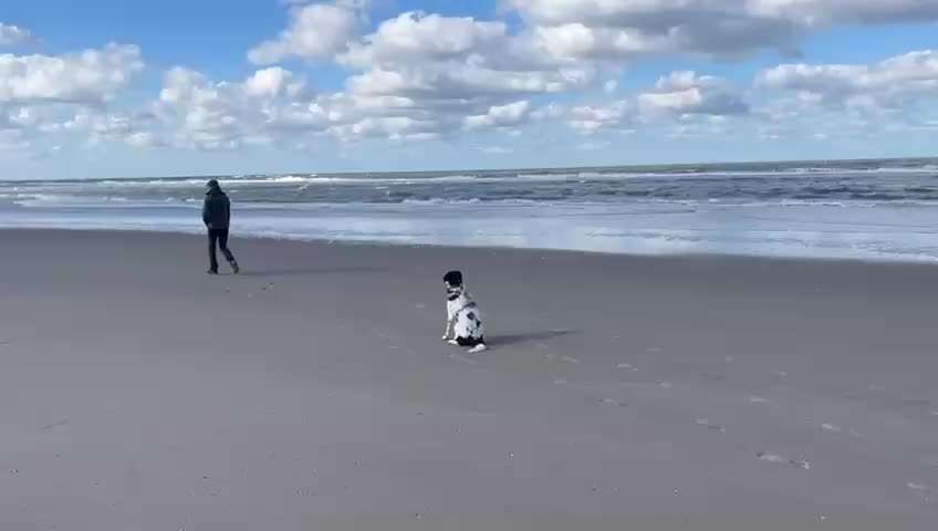 82. Trickspiel : Bleib!-Beitrag-Bild