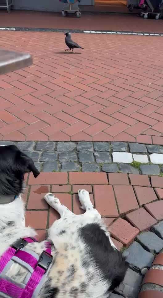 Was hat euch heute gefreut?-Beitrag-Bild