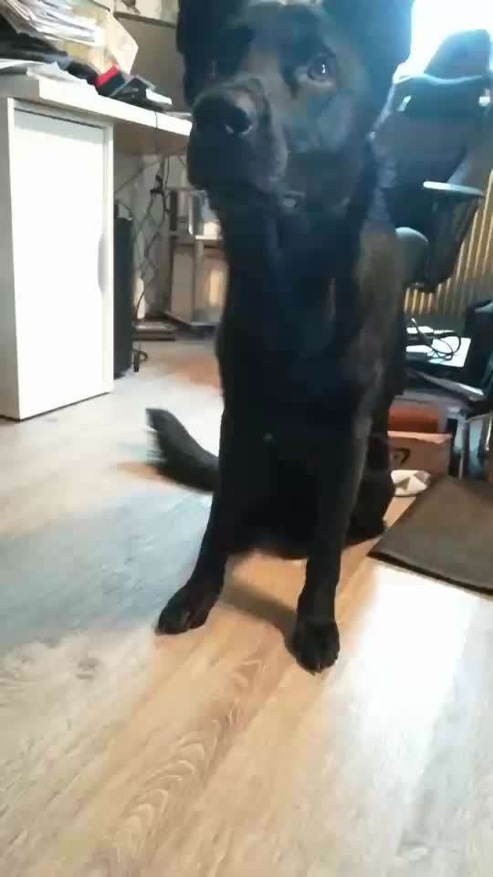 Nüchtern-Erbrechen nach etwas zu kauen.-Beitrag-Bild