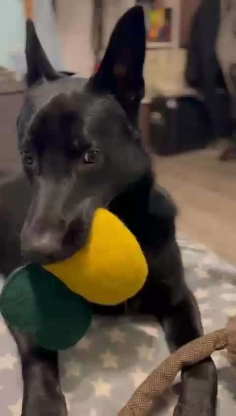 Ressourcen Protection-Beitrag-Bild