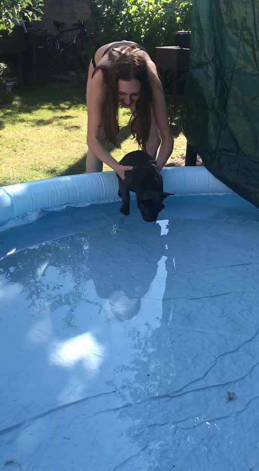 Challenge 33 - Du und dein Hund-Beitrag-Bild