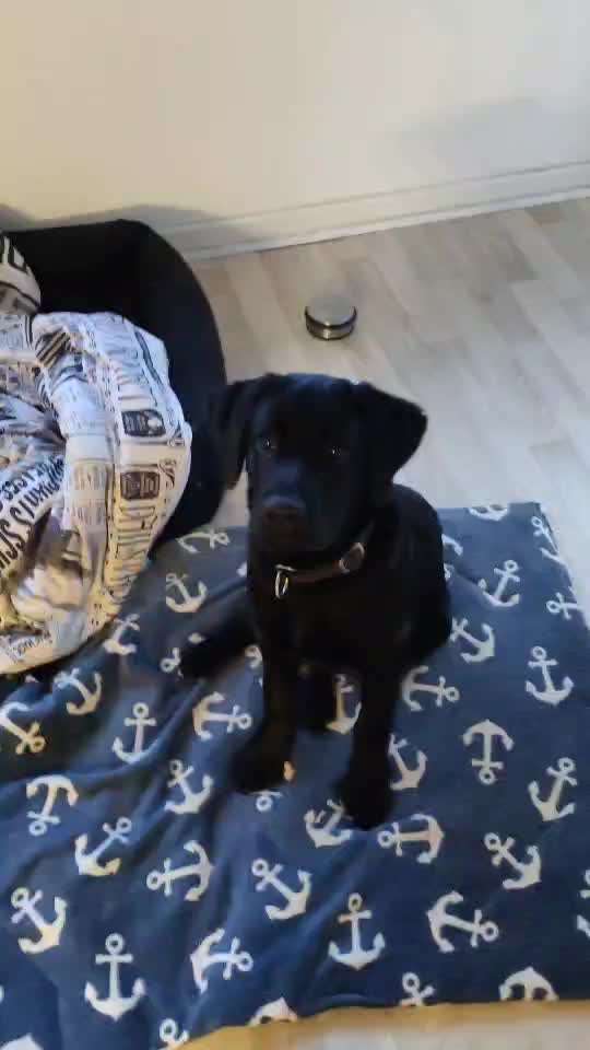 überforderung oder zu viele meinungen ?-Beitrag-Bild