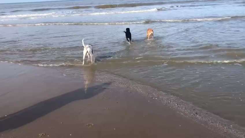 Ausflugstipps in Nordholland-Beitrag-Bild