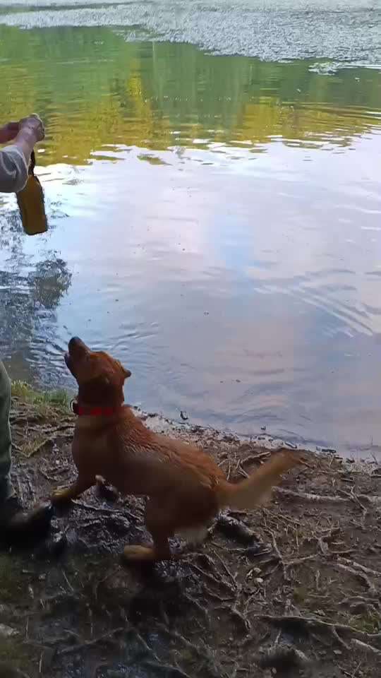 50. Video Challenge - Wasserscheu oder nicht-Beitrag-Bild