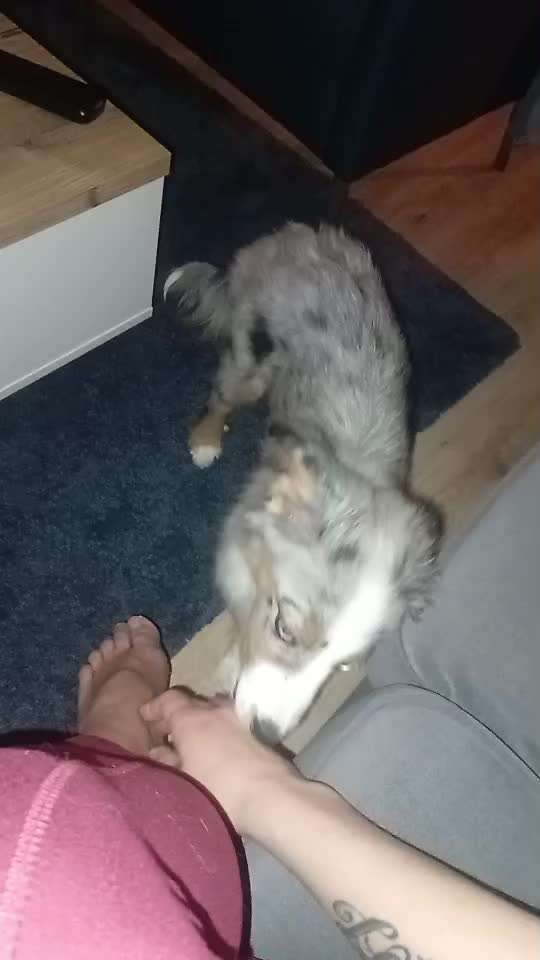 Intensives lecken an uns. Ist das normal?-Beitrag-Bild