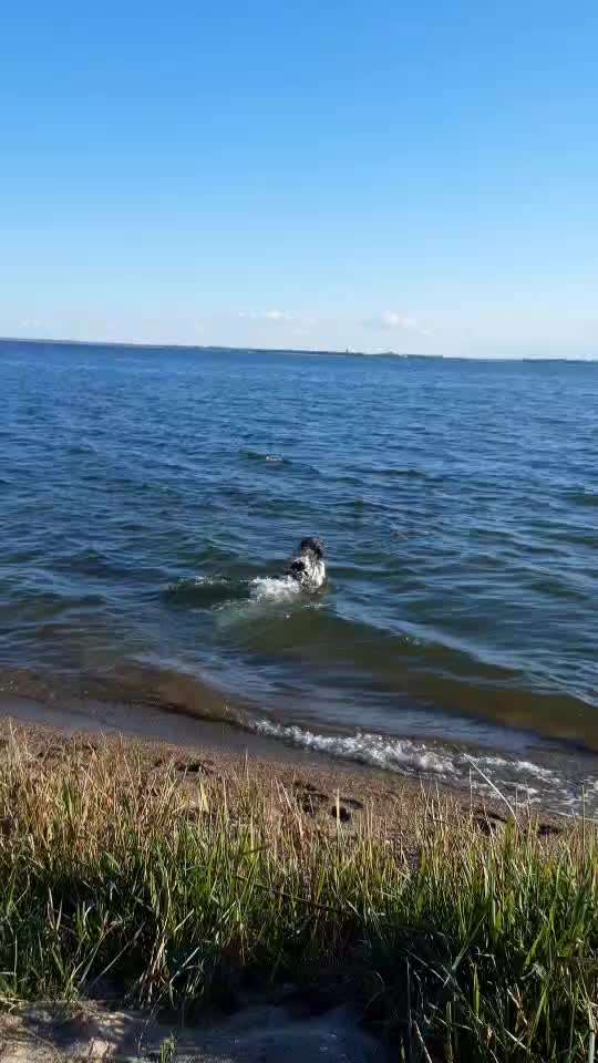 50. Video Challenge - Wasserscheu oder nicht-Beitrag-Bild