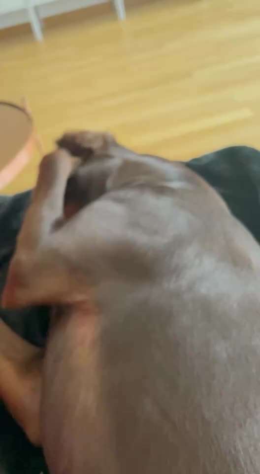 Ohrenschmerzen-Beitrag-Bild