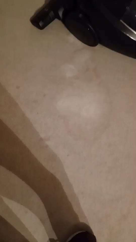 Zeig mir, dass du mit einem hund zusammenlebst....-Beitrag-Bild