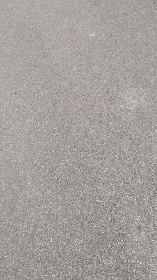 Wo sind die Golden Retriever Liebhaber?-Beitrag-Bild