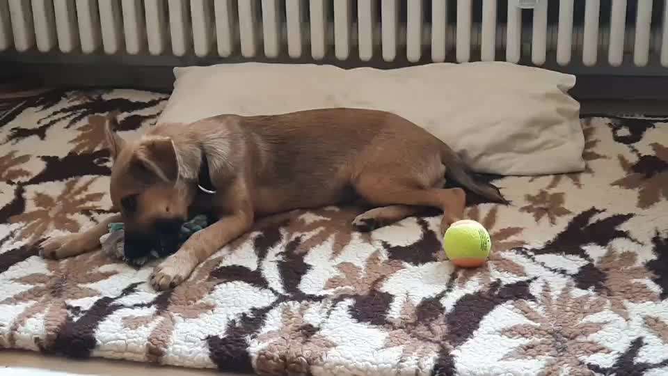 Sie werden so schnell erwachsen ...-Beitrag-Bild