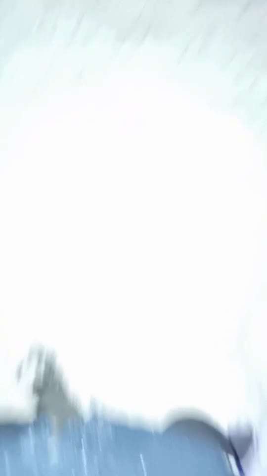 Wo sind die Golden Retriever Liebhaber?-Beitrag-Bild